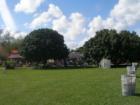 Beautiful surroundings in the Redland's Fruit and Spice Park