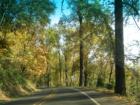 The road by the Stark St. Bridge