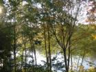 View of the Sandy River