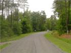 Peaceful country lane