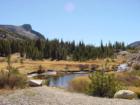 Tioga Pass near the Tioga Pass Resort at 10,000 feet - Photo by Jeanean Gendron