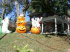 Halloween spirits!  Photo by Brian Schulman