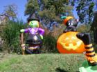 Halloween spirits!  Photo by Brian Schulman
