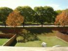 Autumn's beautiful trees in Abingdon, Maryland