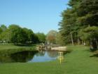 Disc Golf hole 18 at Amesbury Pines