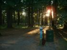 Tee pad for hole #5 at Amesbury Pines