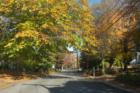 Looking east down Sears St