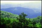 View from Cabin- Smoky Mountains
