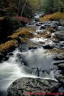 Stream