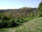 Looking toward the Potomac River, this property has what we call a "winter view" of the river.