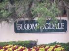 Bloomingdale in Valrico