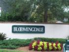 Bloomingdale in Valrico