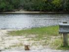 Camp Bayou Public Canoe Access