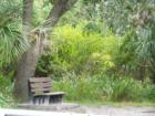 Camp Bayou