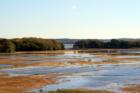 Flood Tide in Essex