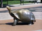 A bronze statue of a turtle at the Como Zoo in St Paul