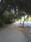 Murphy Bridal Path in North Central phoenix