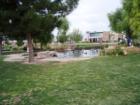 Aliante - Duck Pond in Nature Discovery Park in North Las Vegas (off the 215 Beltway and Aliante) 