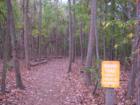 City View rough trail 