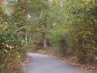 City view park walking trail