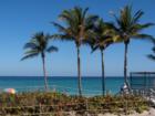 Hollywood Beach • Dania Beach