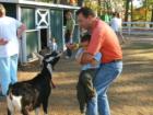 My son didn't like the goats and could I blame him?