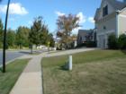 Main entrance into Trilogy Park, with tree lined streets.
      
      