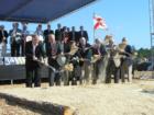 Ground breaking for the new airport