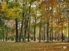 Pascack Valley in the Fall