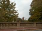The view from Waterfield Street