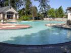 Spring Trails in Spring TX - swimming pool