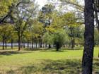 Pond and part of the 400 acres of forested land at Spring Trails in Spring TX