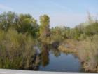 North Churn Creek in Redding - Jeanean Gendron