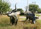 Frisco, TX - Photography by Precious Memories - For more information on one of the fastest growing cities in America - contact Christy Singleton at 214-770-5660.
