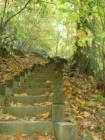 ManMade stairs to the view!