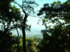 First View