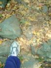 Step on the Stones not the ground!