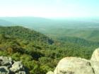 The View!