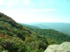 Nature is amazing!