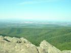 Panaromic Shot!