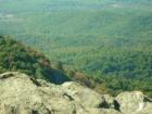 Yes that is a road and I zoomed in!