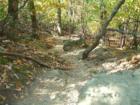 Creek bed/walk way