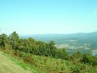 looking toward Albemarle