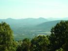 Nelson View!
