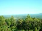 more views!