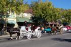 Carriage parade first of November