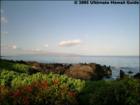 Makena Surf
      <a href="http://www.garybland.com">http://www.garybland.com</a>
      
      <a href=" http://www.realestatemaui.us">Visit my Maui Real Estate weblog.</a>