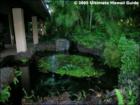 Makena Surf
      <a href="http://www.garybland.com">http://www.garybland.com</a>
      
      <a href=" http://www.realestatemaui.us">Visit my Maui Real Estate weblog.</a>
