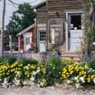 The Amana Colonies is a great place to visit this time of year.  Octoberfest is over but shopping and dining are ever so popular