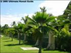Na Hale O Makena
      <a href="http://www.garybland.com">http://www.garybland.com</a>
      
      <a href=" http://www.realestatemaui.us">Visit my Maui Real Estate weblog.</a>